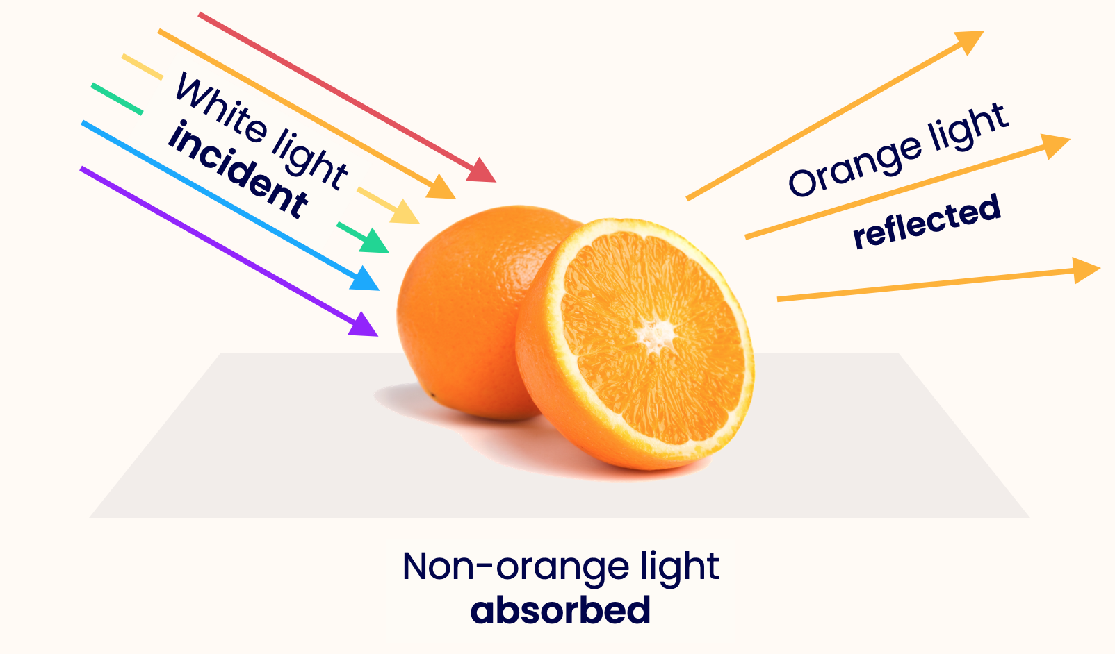 An orange (fruit) reflecting orange light