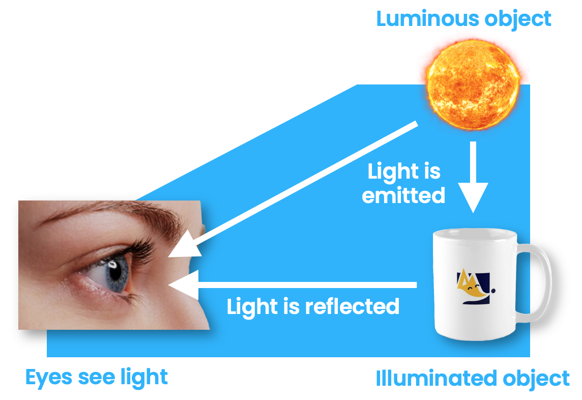 Light coming from the luminous sun, reflecting off an illuminated mug, and into the eye