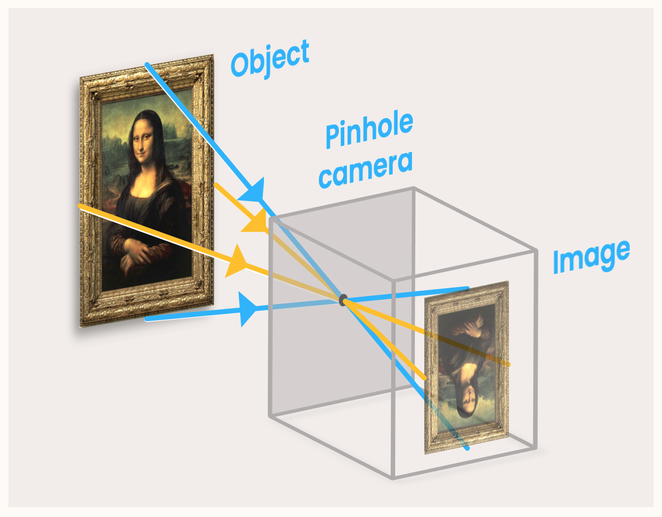 How Cameras Work Waves Physics Fox